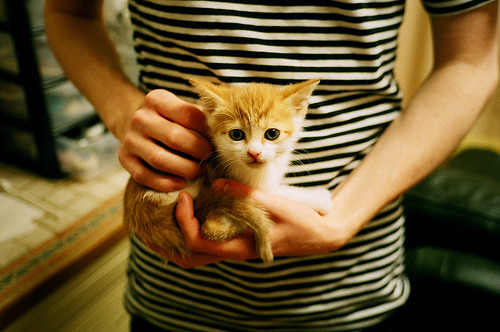 史上最年轻“欧洲金靴”得主深度揭秘，最年轻的欧洲金靴