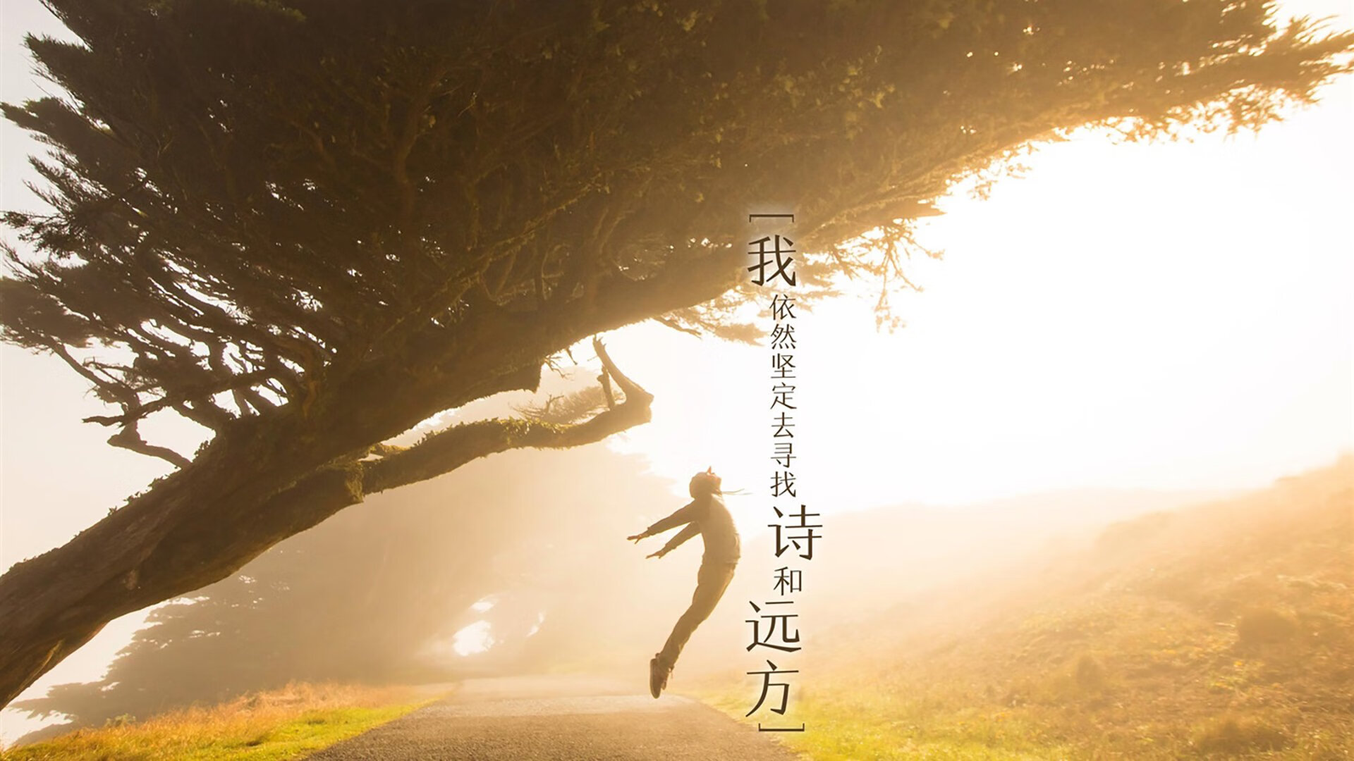 哈里·凯恩转会拜仁，挑战德甲，哈里凯恩进球集锦