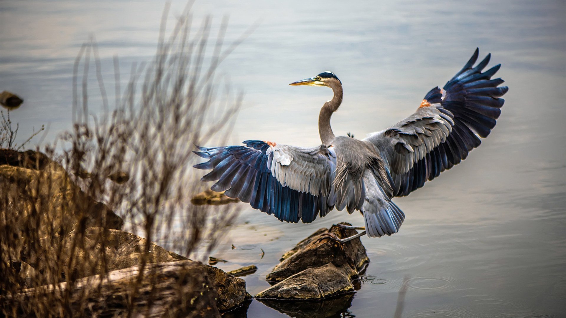 “逆境之光:最惊心动魄的翻盘战役回顾”,片名_逆境